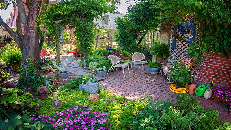 5 Latest Trends of Landscaping & Gardening