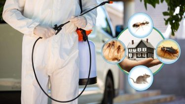 Pest Control London