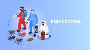 Pest Control London